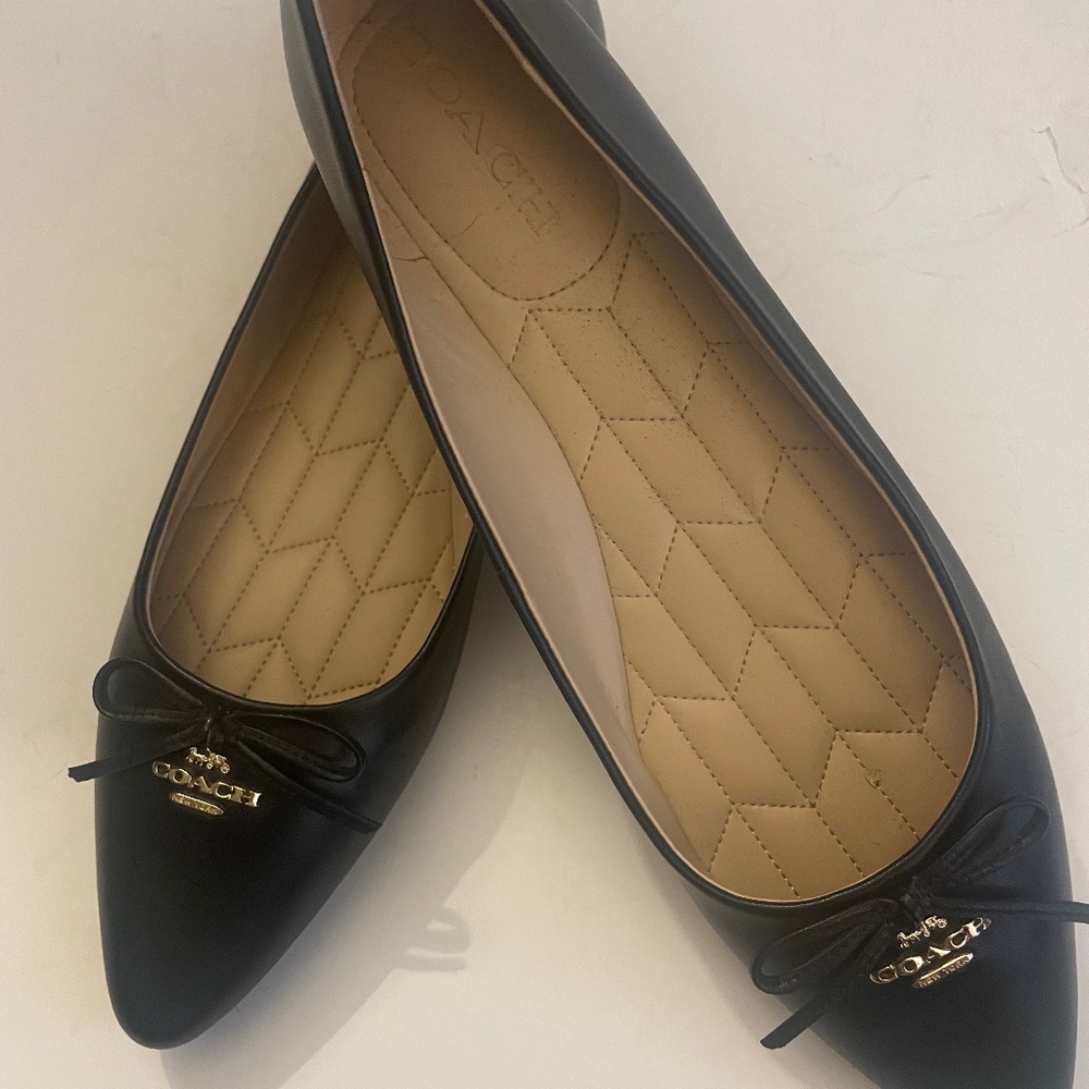 COACH Annabel Leather Ballet Flats